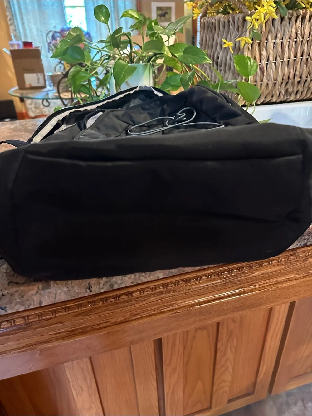 Patagonia lightweight backpack