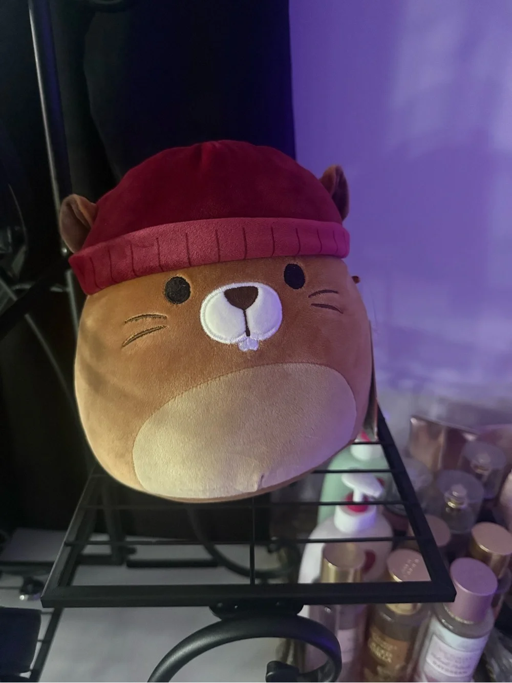 Squishmallows adorable brown