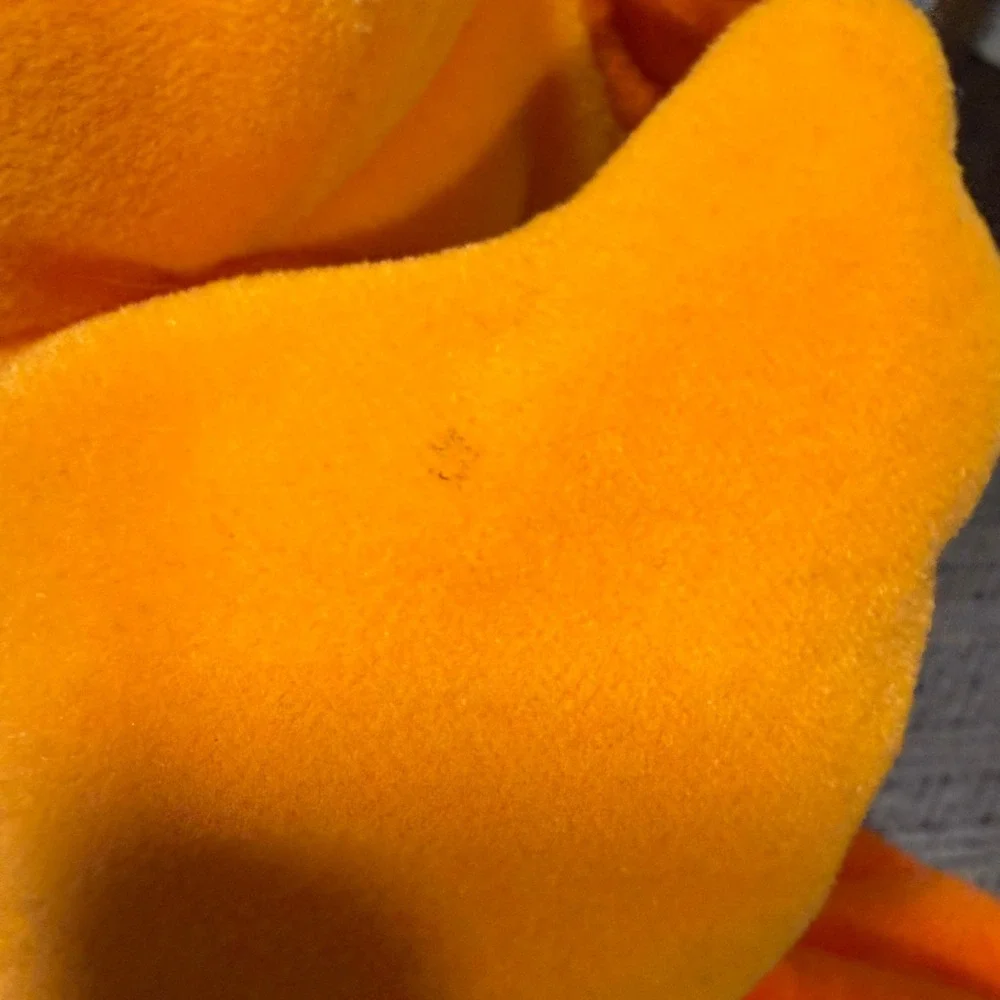 Gymboree gently used