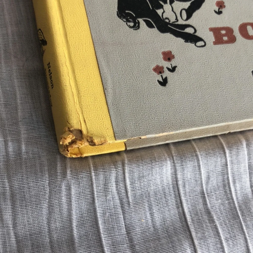 Charles Dickens vintage lot