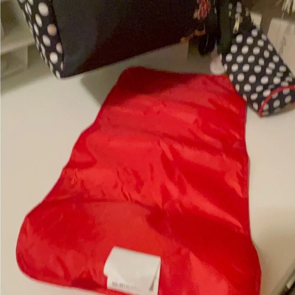 Disney new bag