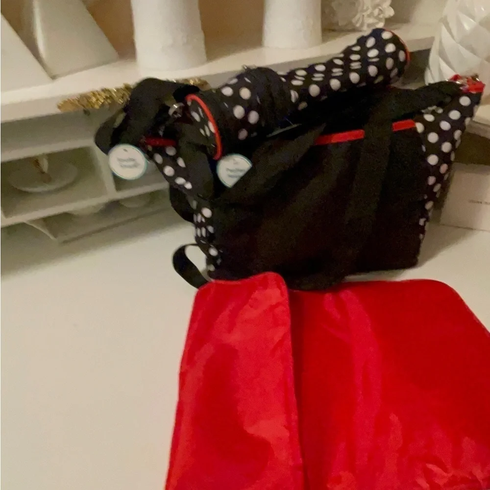 Disney new bag