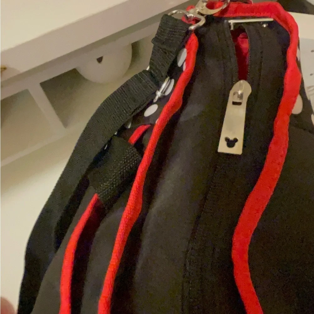 Disney new bag