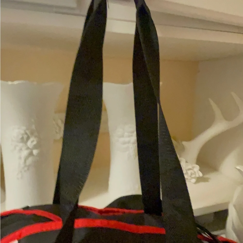 Disney new bag