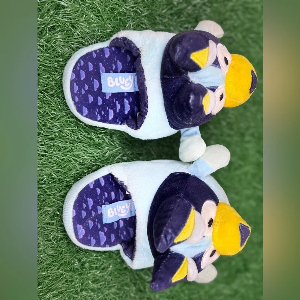 Bluey cozy fun