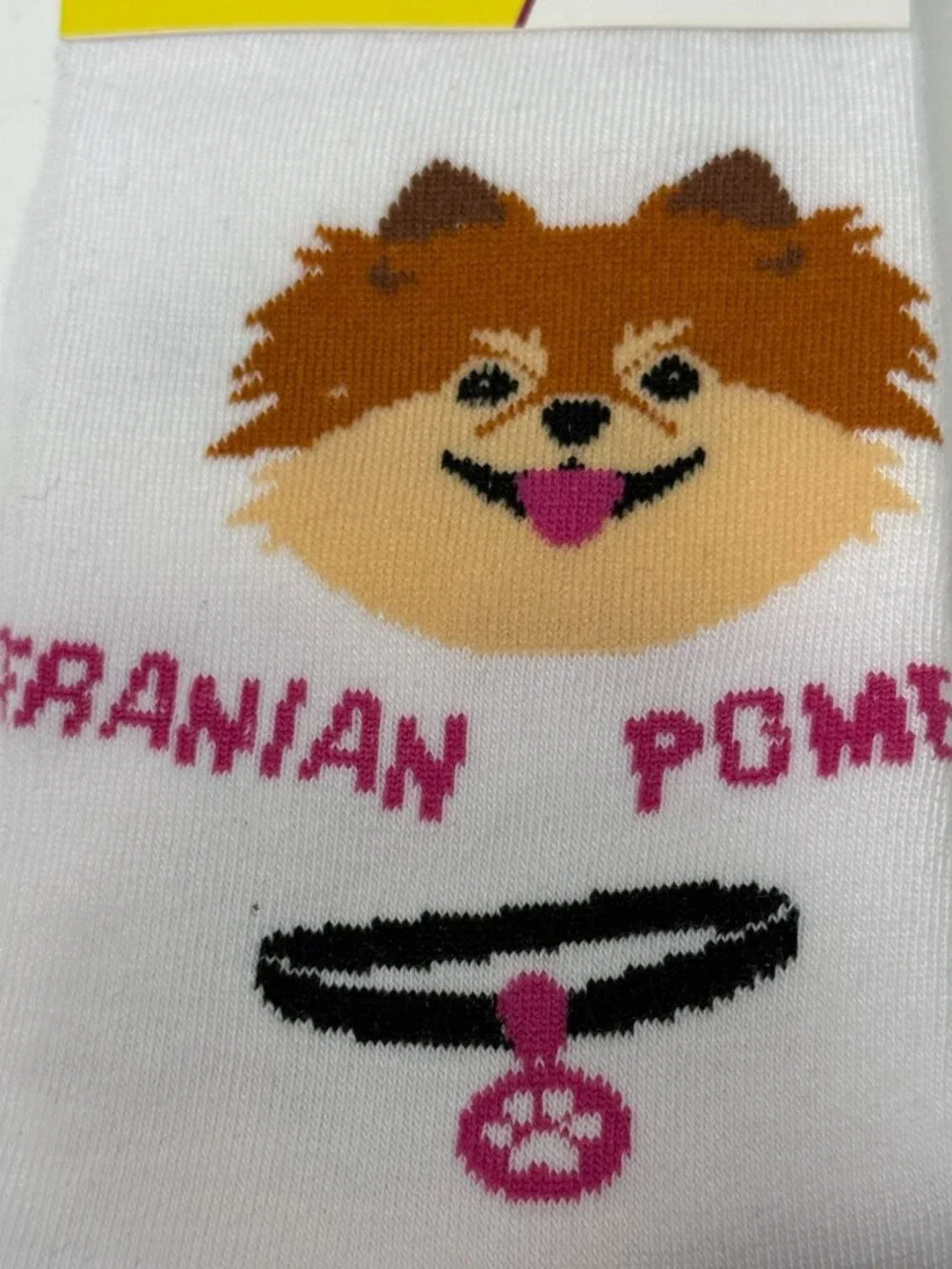 N/A pomeranian dog