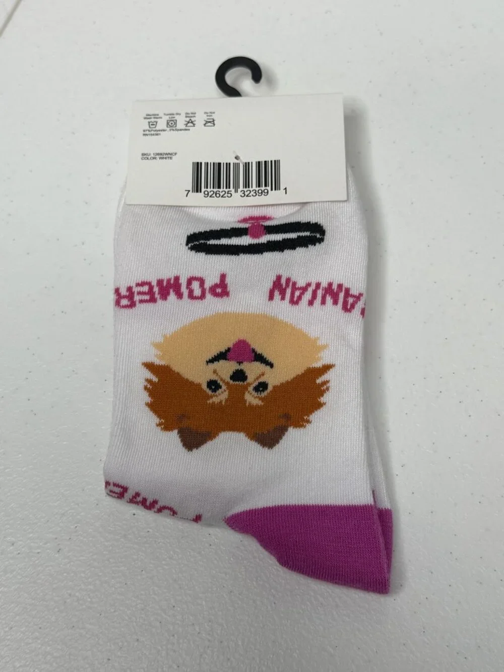 N/A pomeranian dog