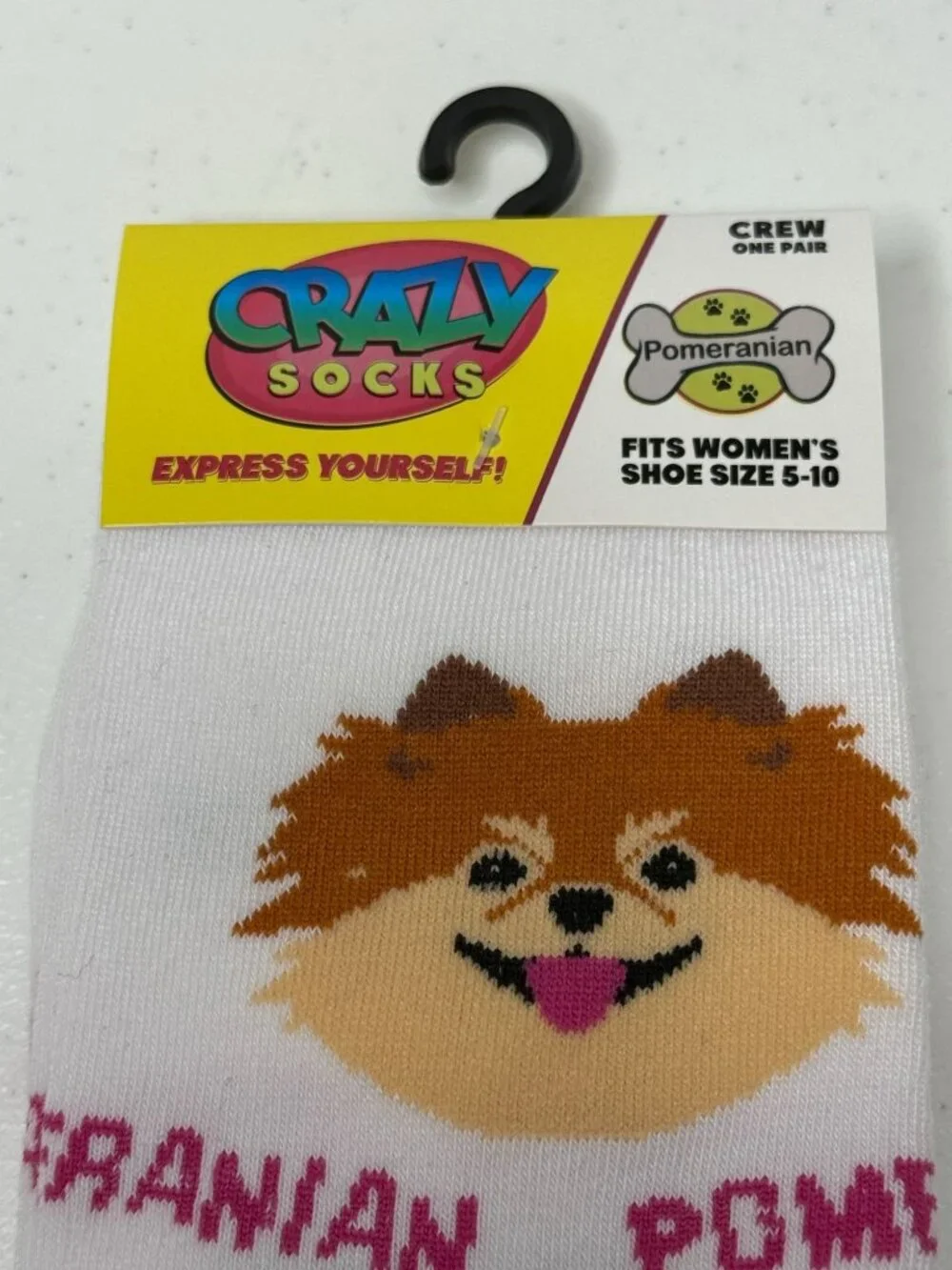 N/A pomeranian dog