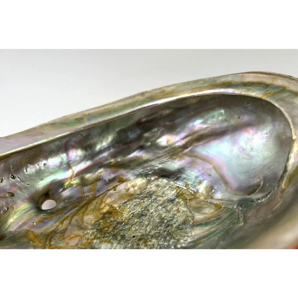 N/A vintage abalone