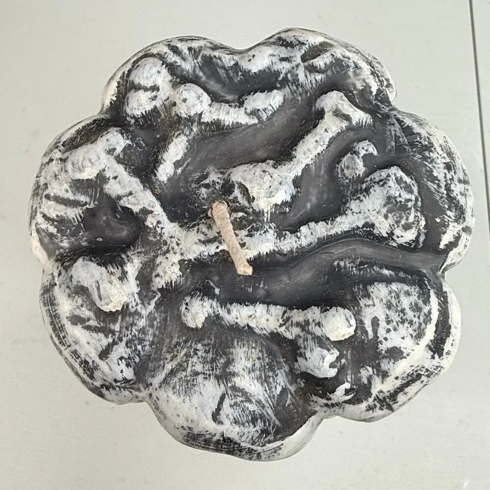 None and/or Unknown skull bones