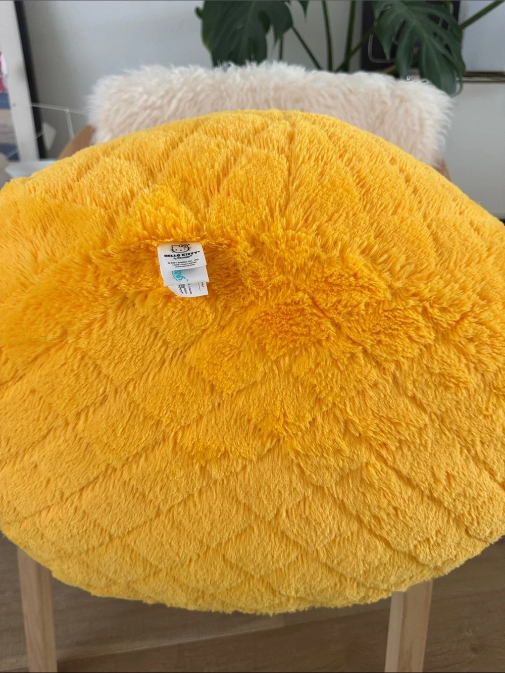 Sanrio pet large questions