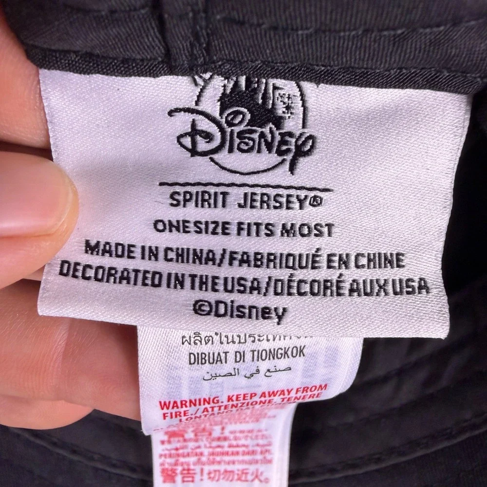 Disney parks wdw