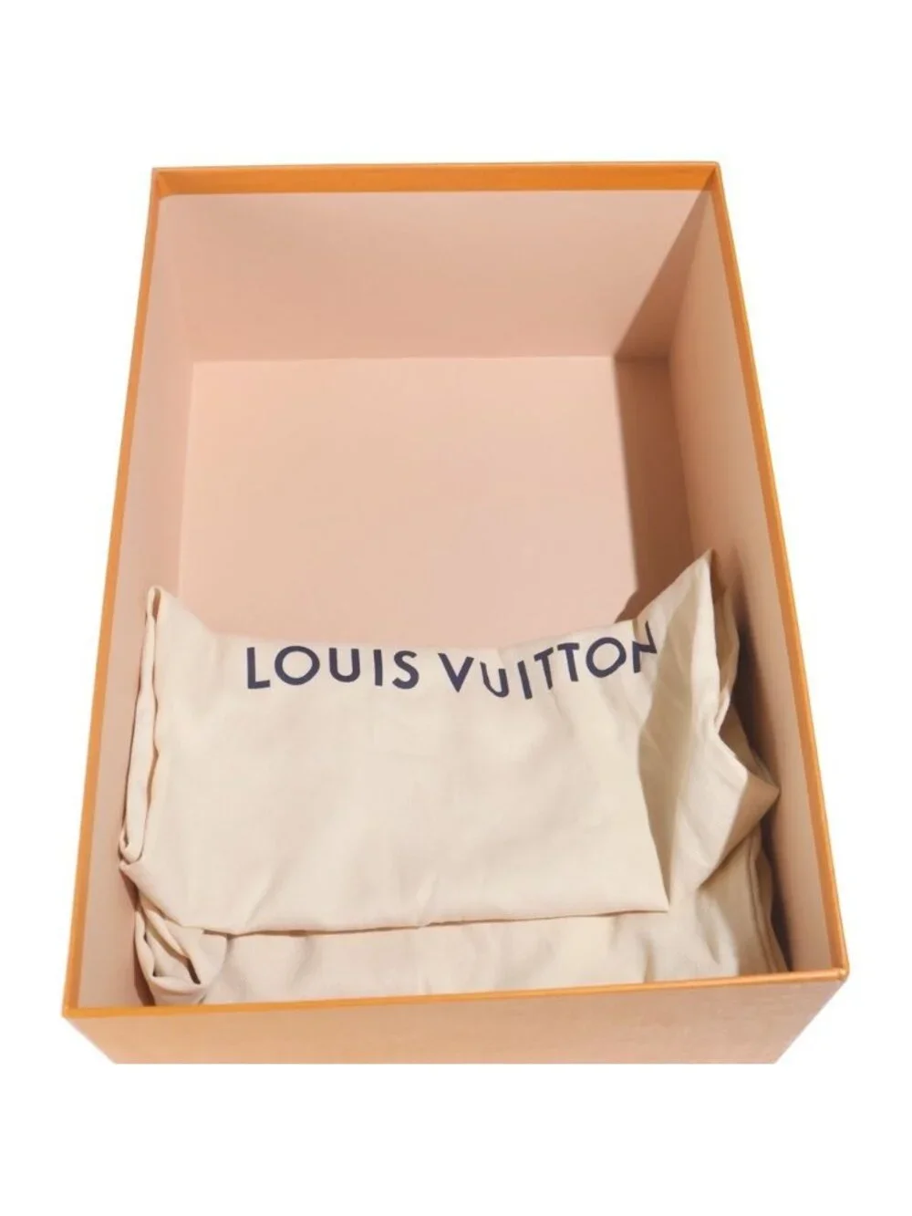 Louis Vuitton brand louis