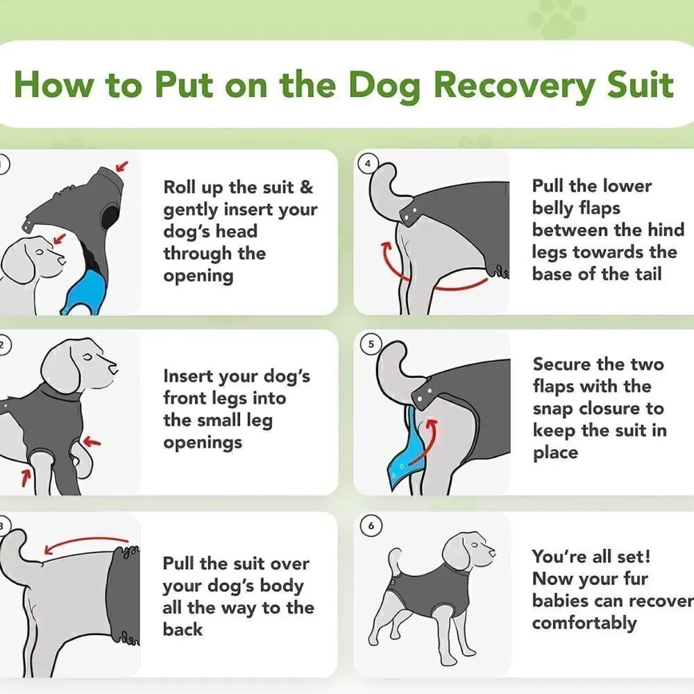 Suitical dog secure nwot