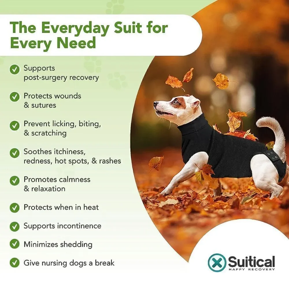 Suitical furry are alternative