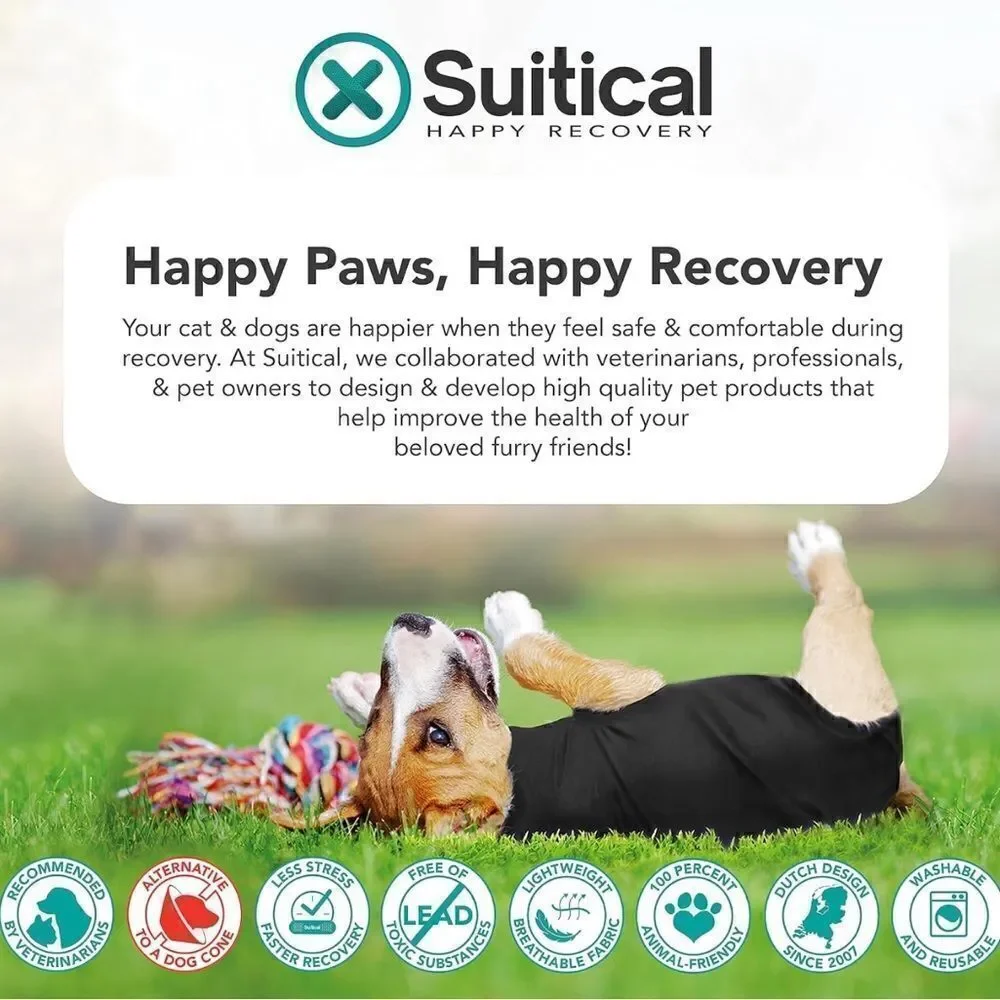 Suitical secure recovery