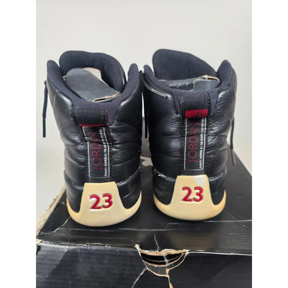 Jordan air 12