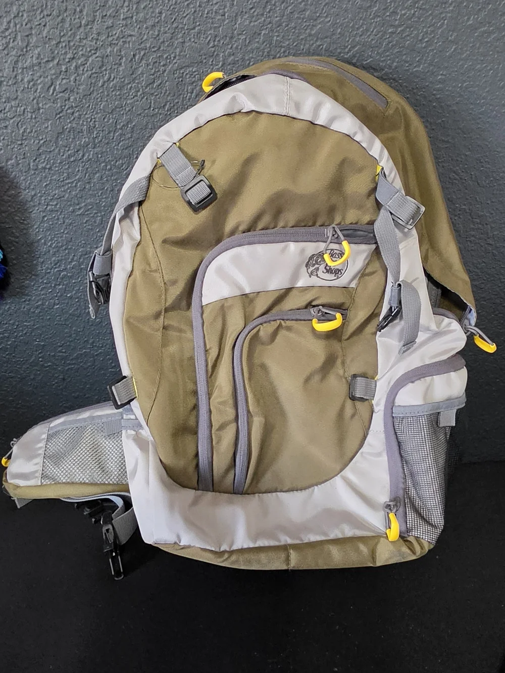 Brass Pro Shop ability integrate