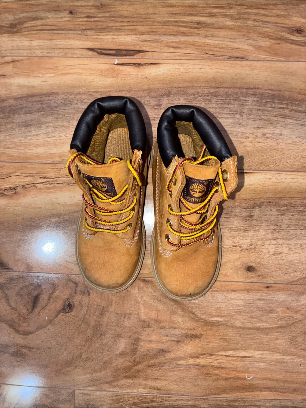 Timberland toddler classic