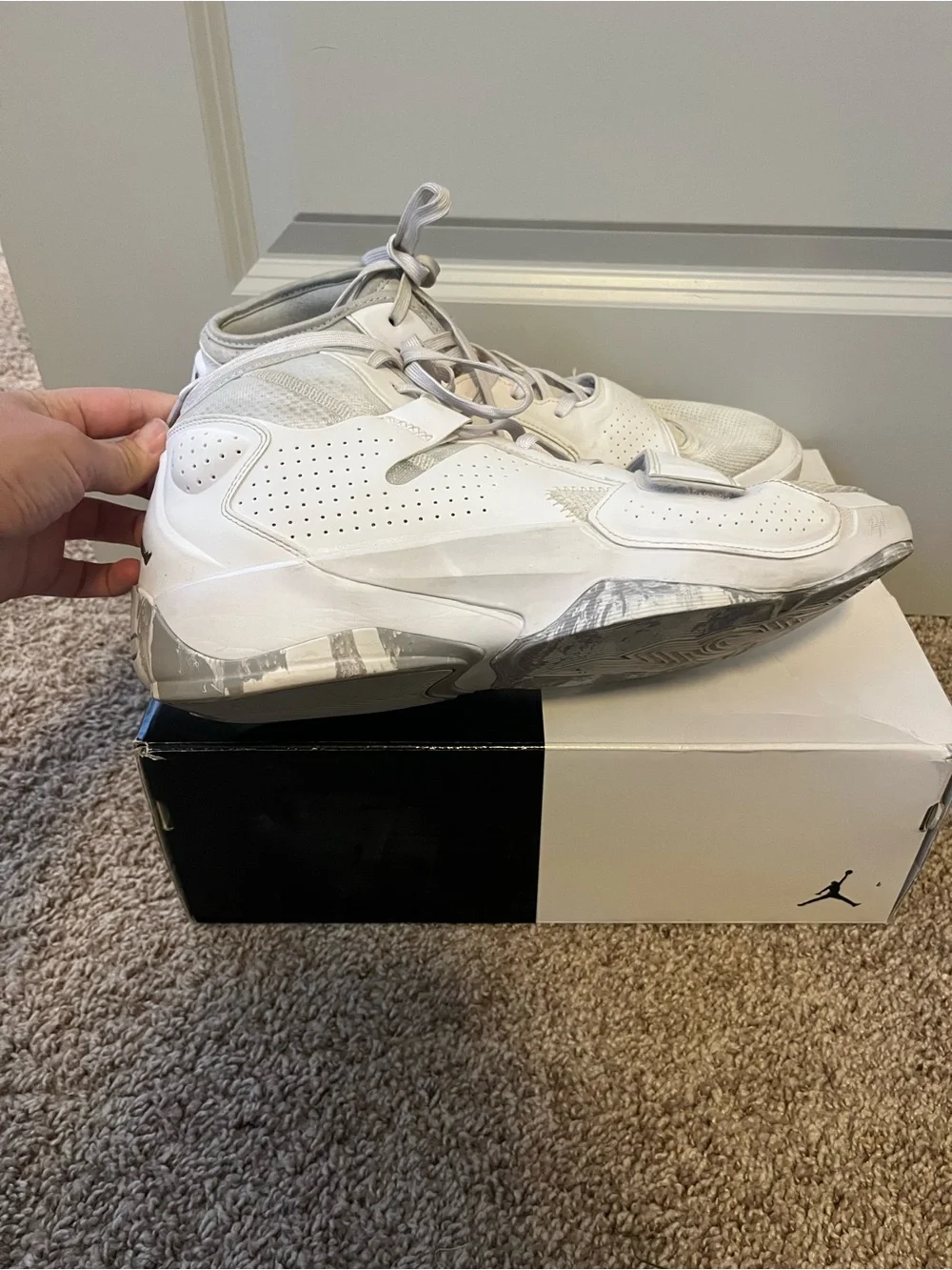 Jordan air zion
