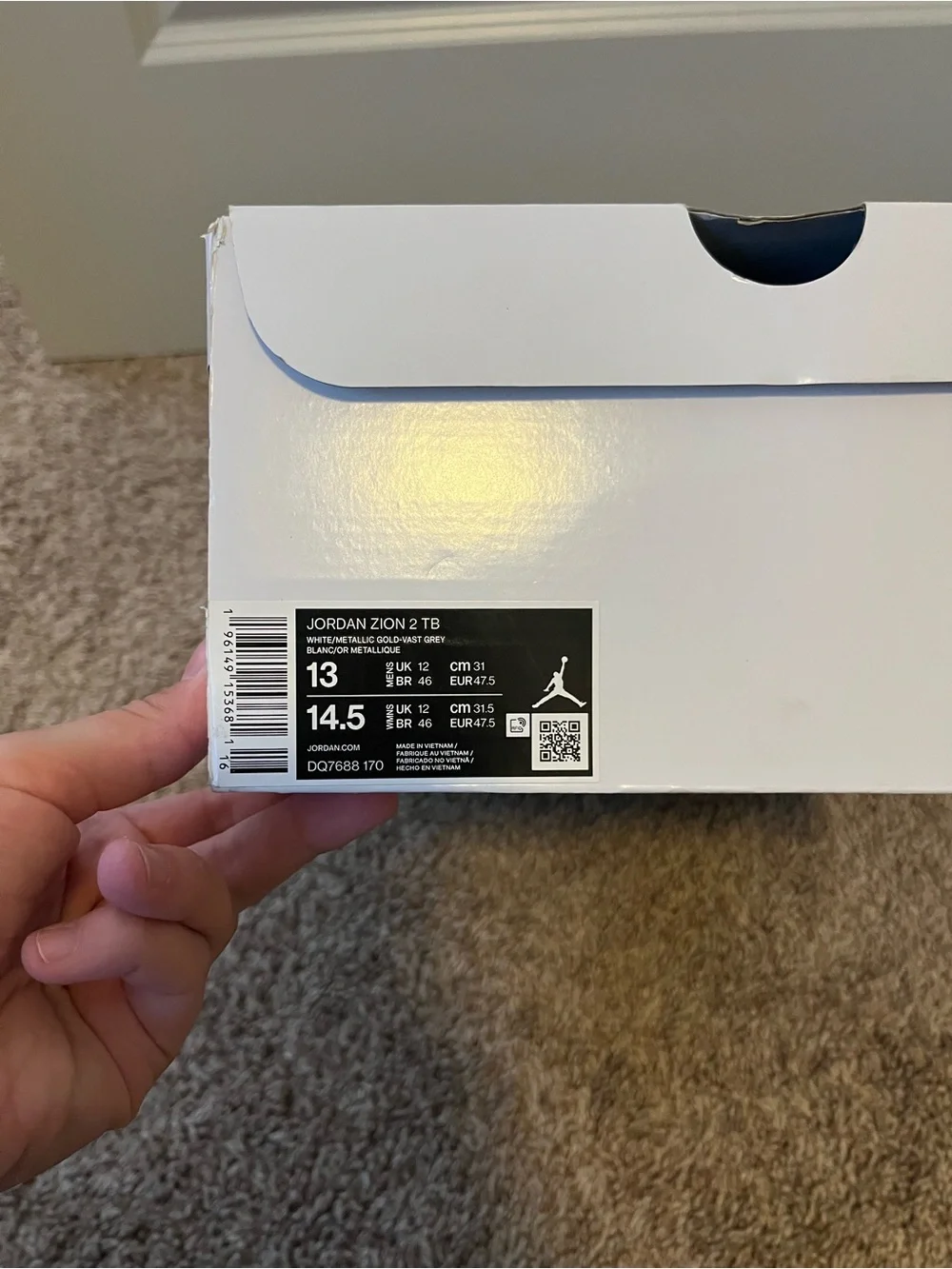 Jordan air zion