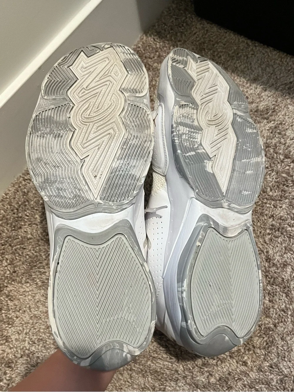 Jordan air zion