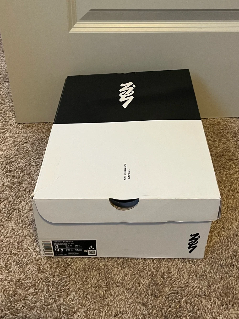 Jordan air zion