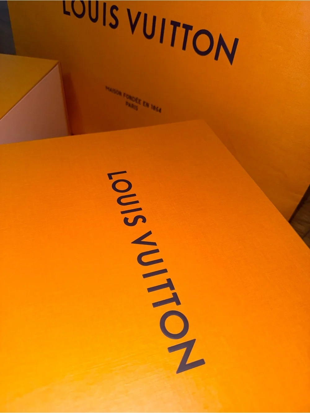 Louis Vuitton image shows