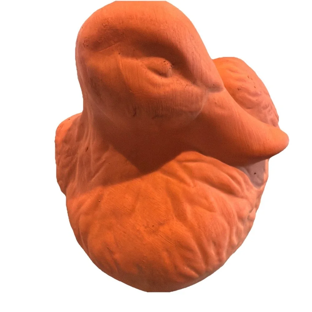 Duckster no chips