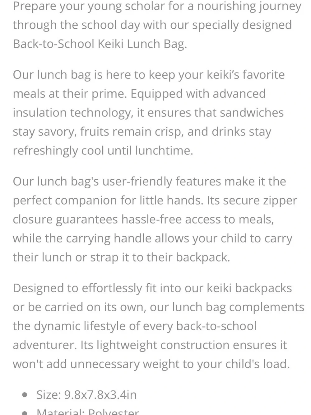 N/A lunch bag