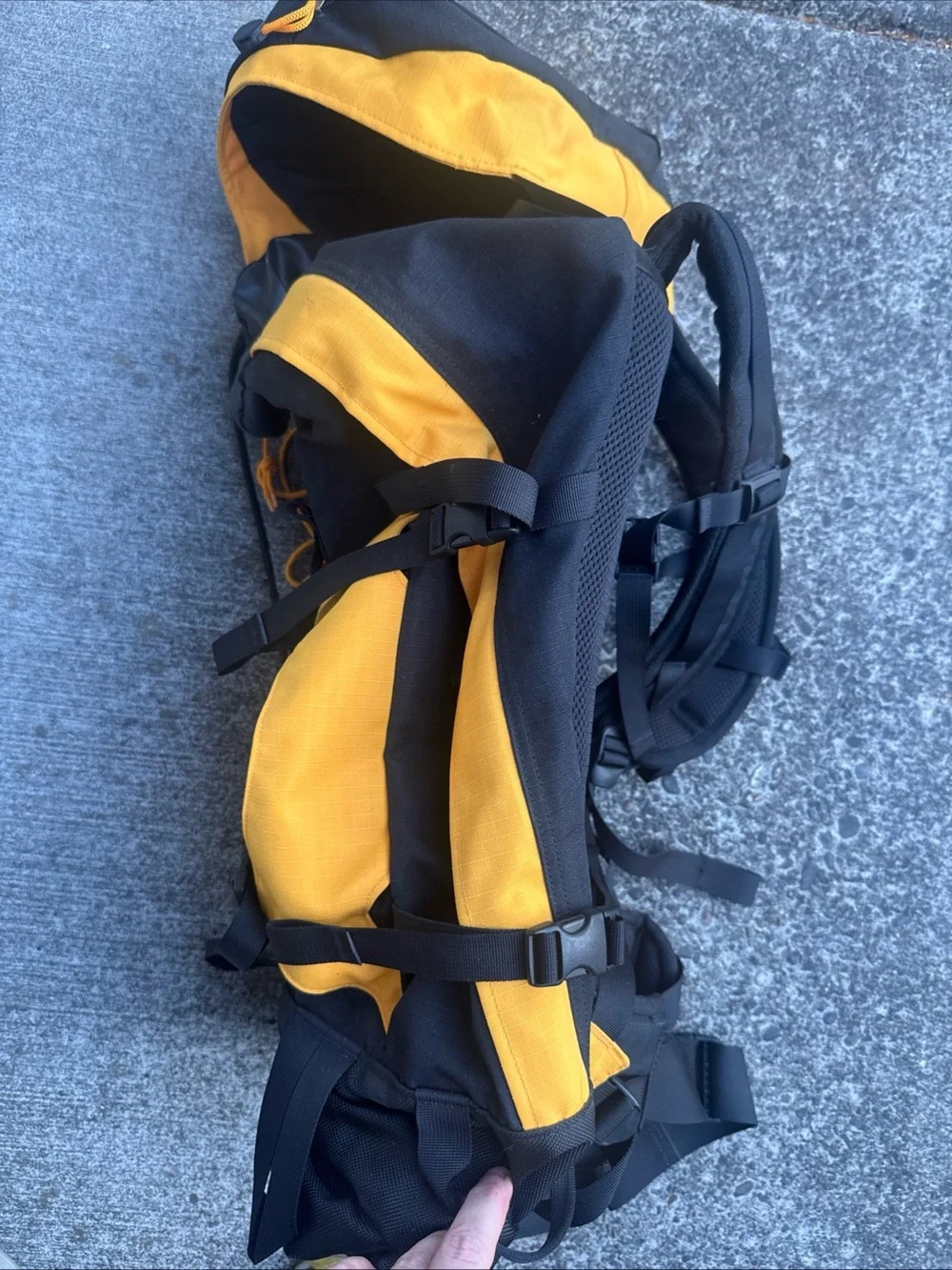 REI backpack bold