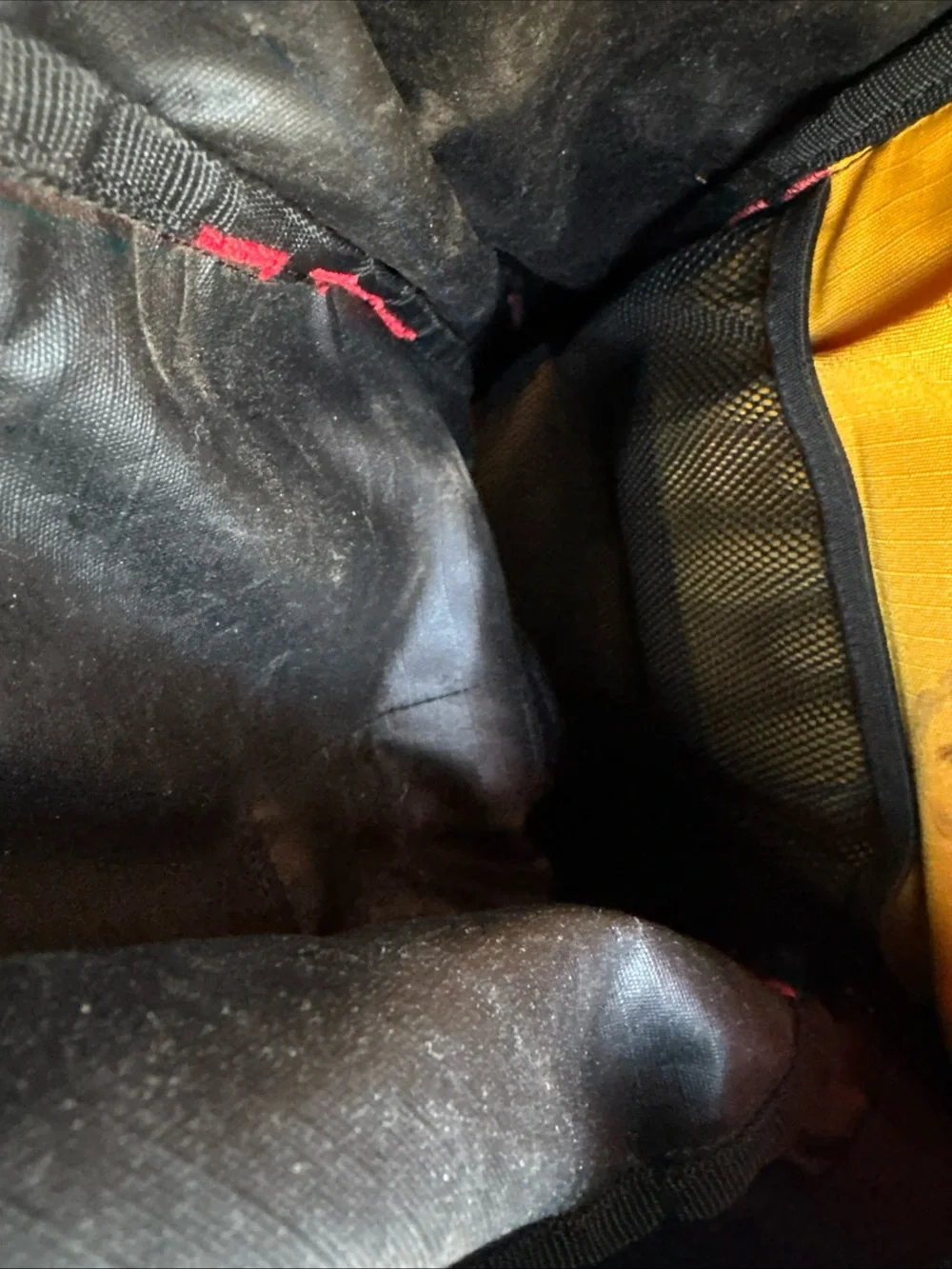 REI backpack bold