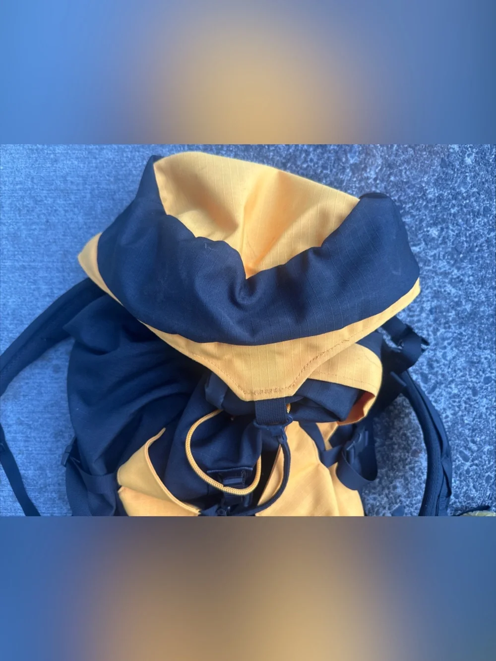 REI backpack bold