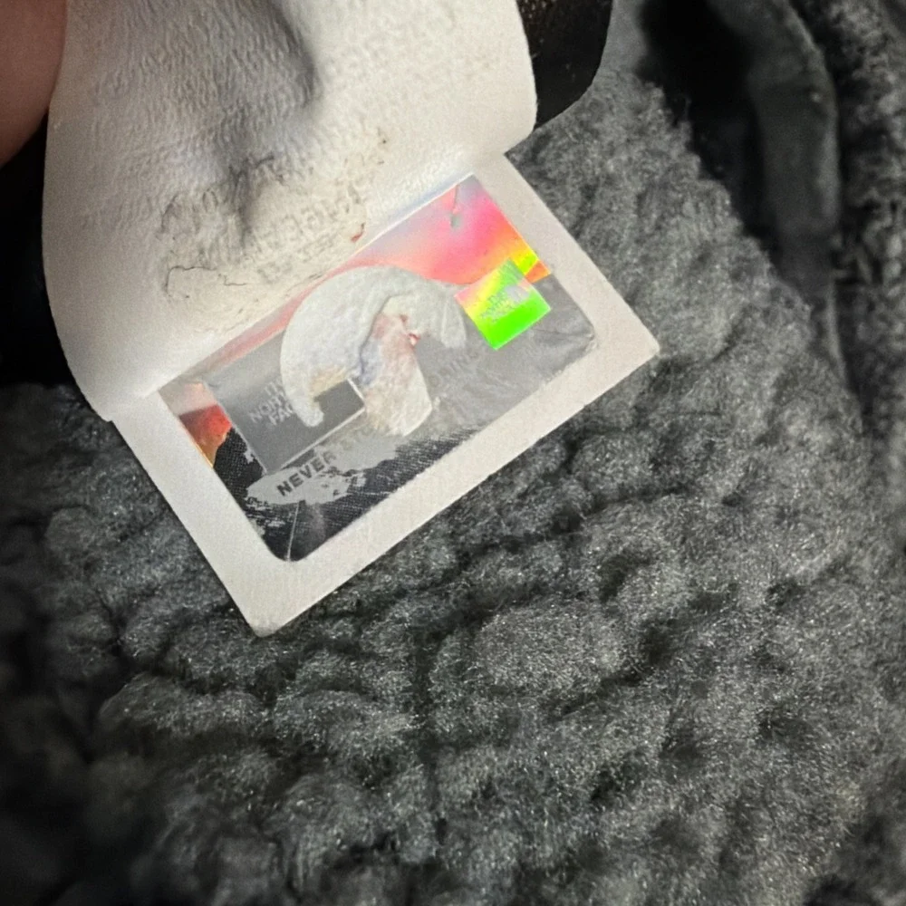 The North Face north face