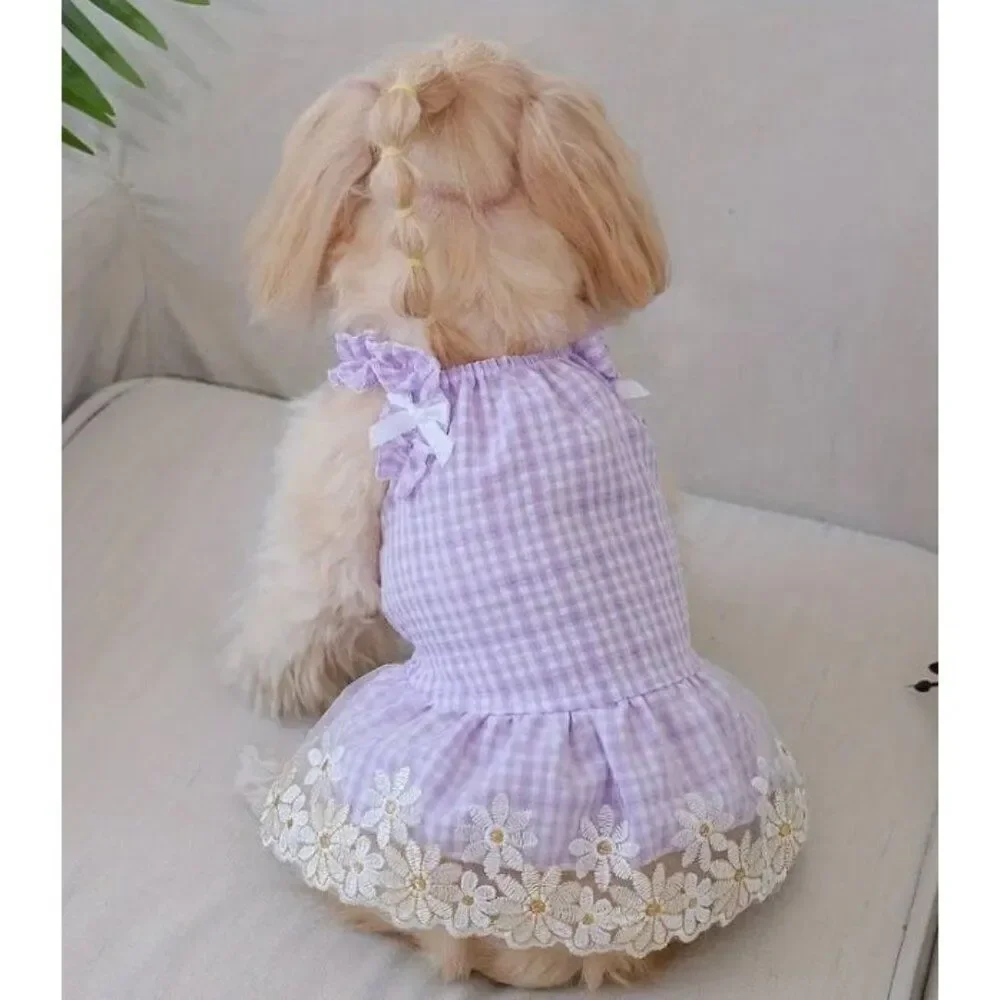 Lavender Dog Cat Pet‎ XXL Dress NWOT