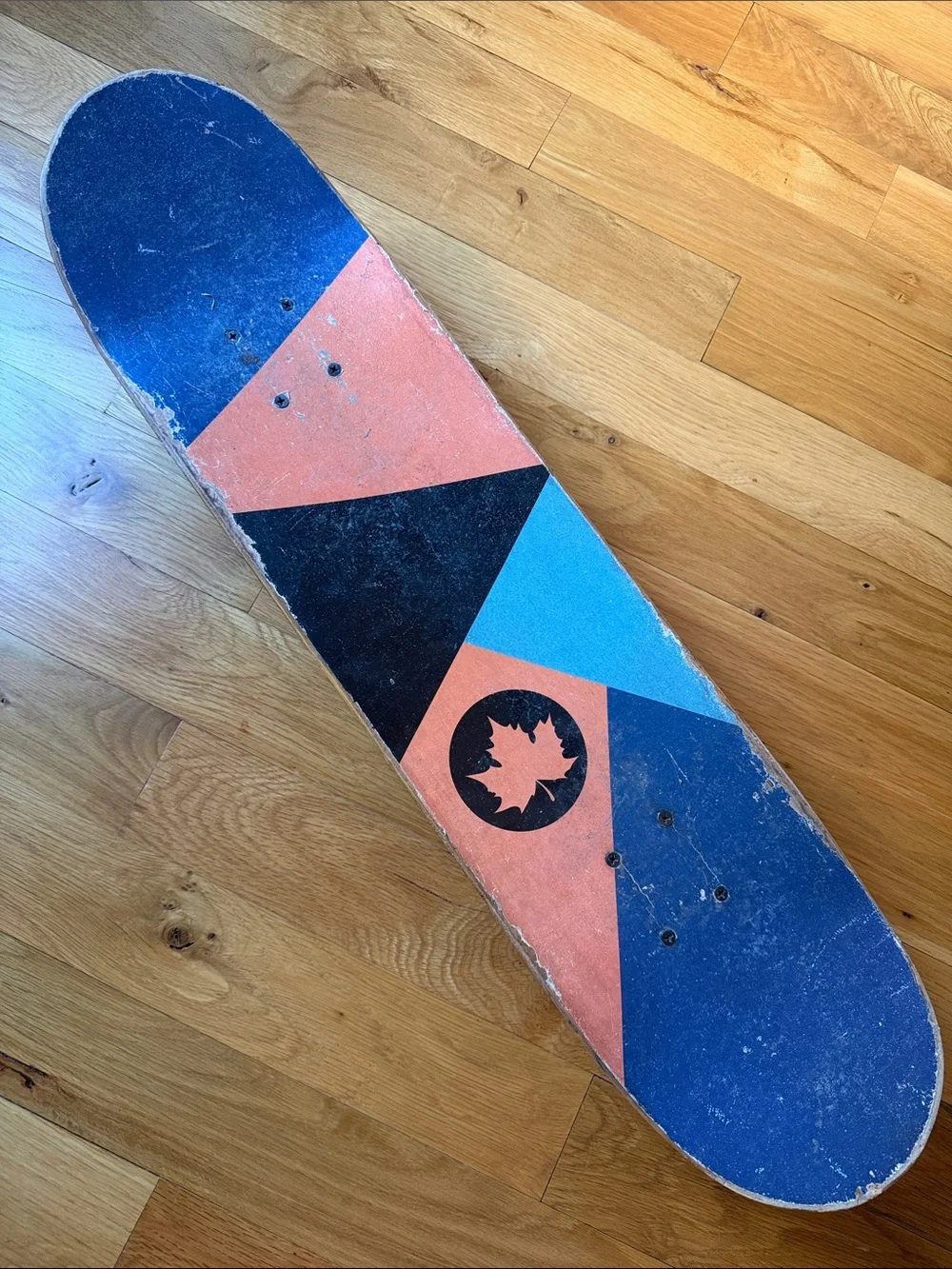 Maple Leaf Skateboard Wall Art - Blue & Coral