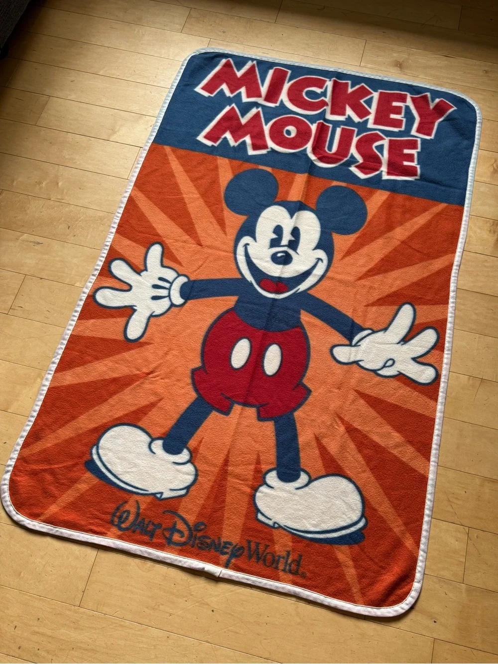 Disney gently used