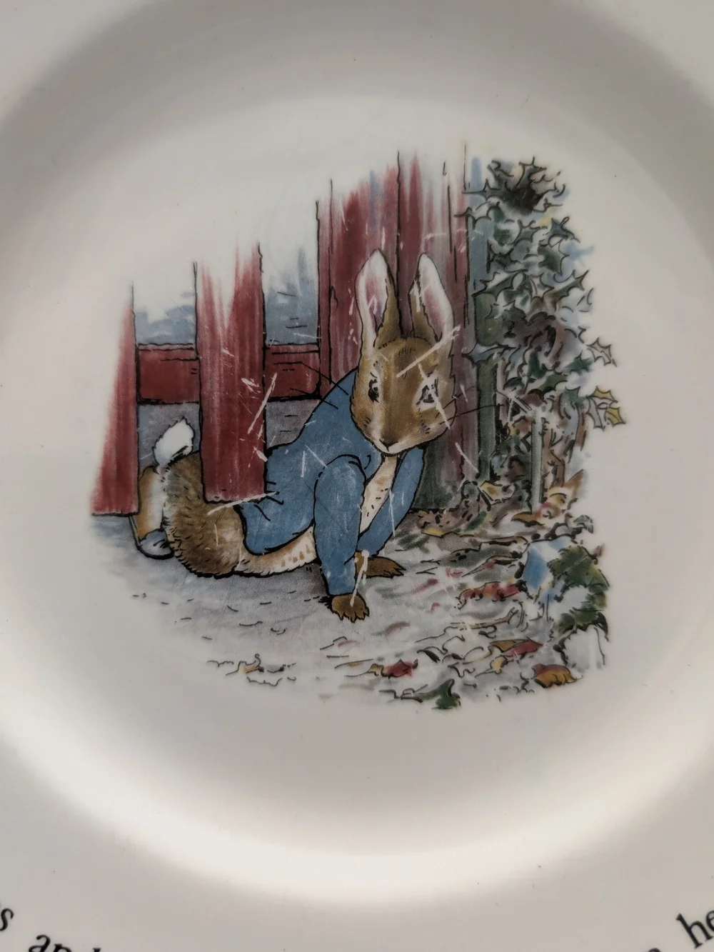 Wedgwood brand pattern