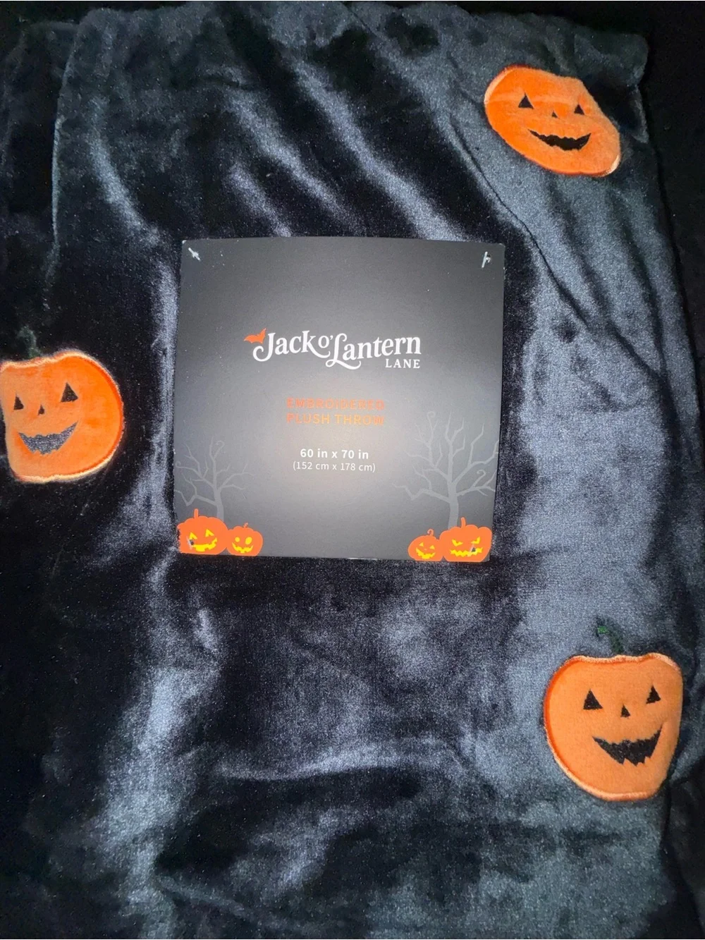 JACK O’ LANTERN LANE new jack