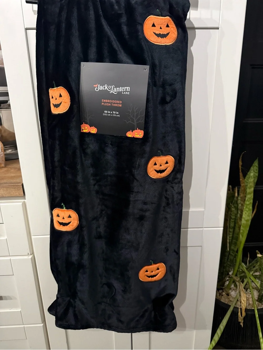 JACK O’ LANTERN LANE new jack