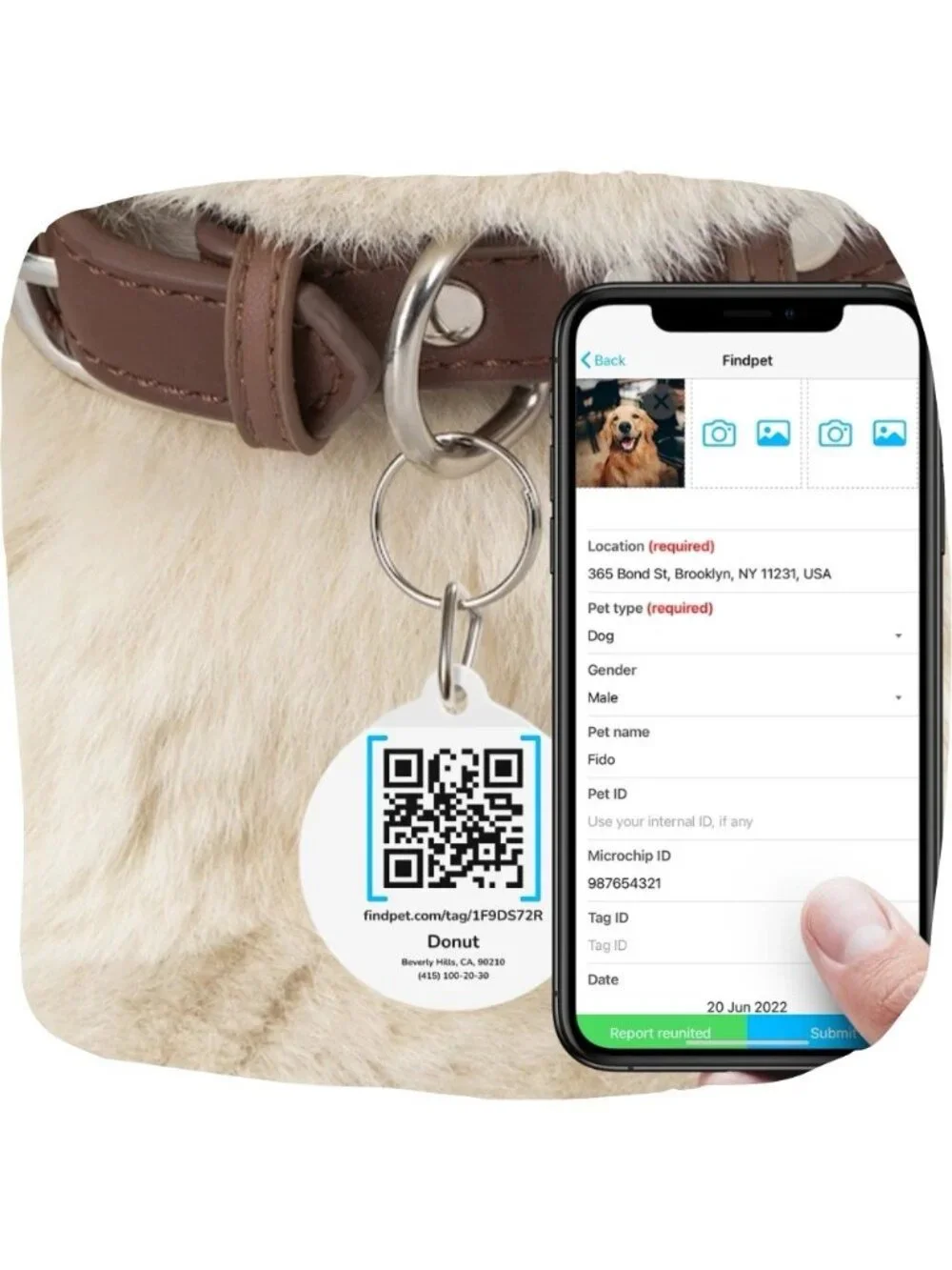 FindPet airpet wireless