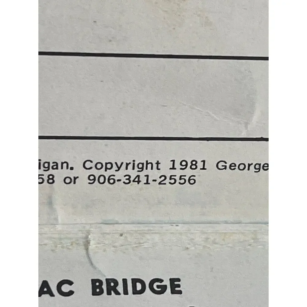Vintage 1981 accordion