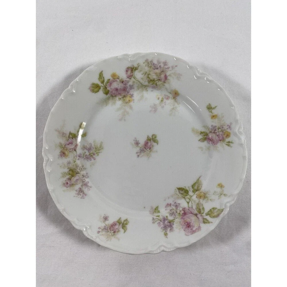 Haviland limoges schleiger