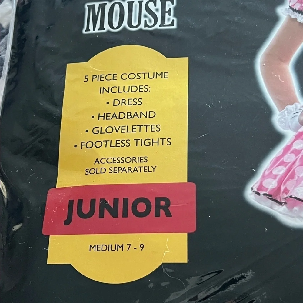 Disney new minnie