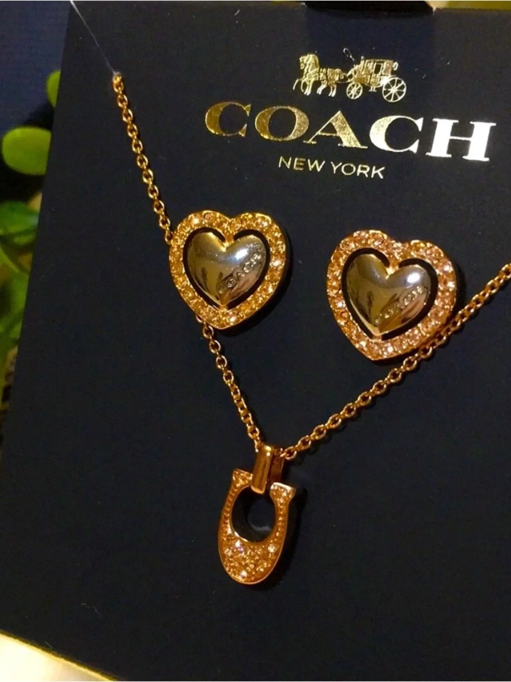 Coach 🐴stunning necklace