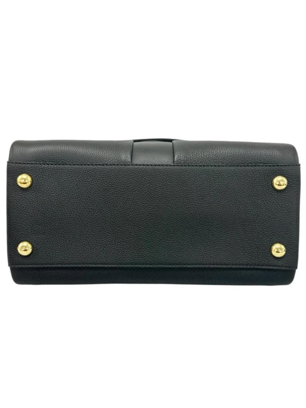 Louis Vuitton brand louis
