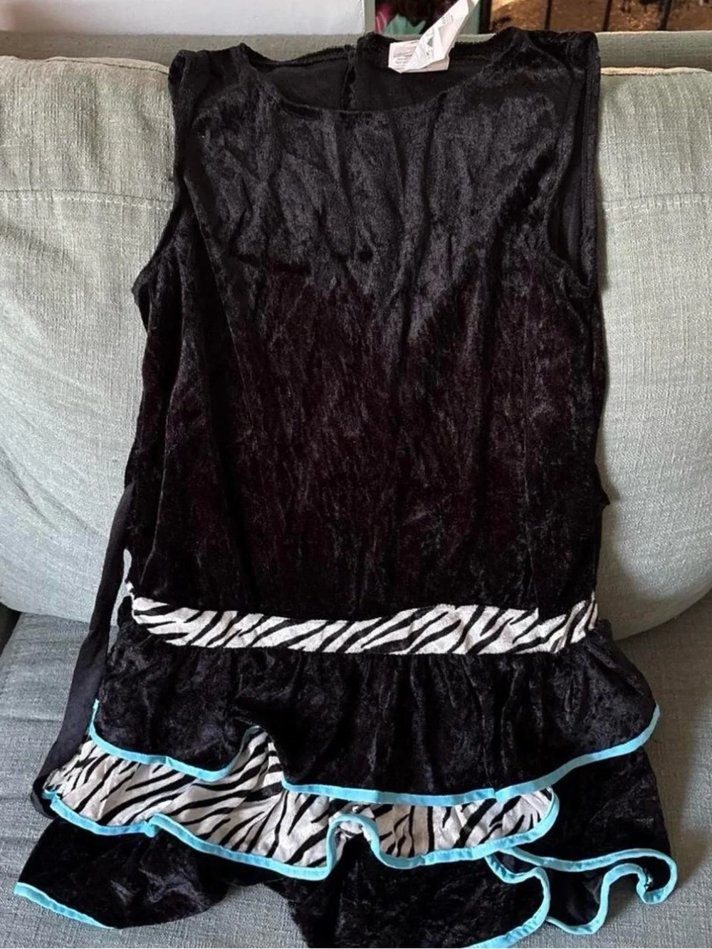 Rubies playful zebra