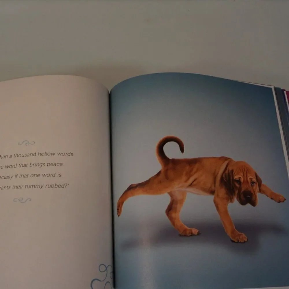Abrams Books yoga dogs