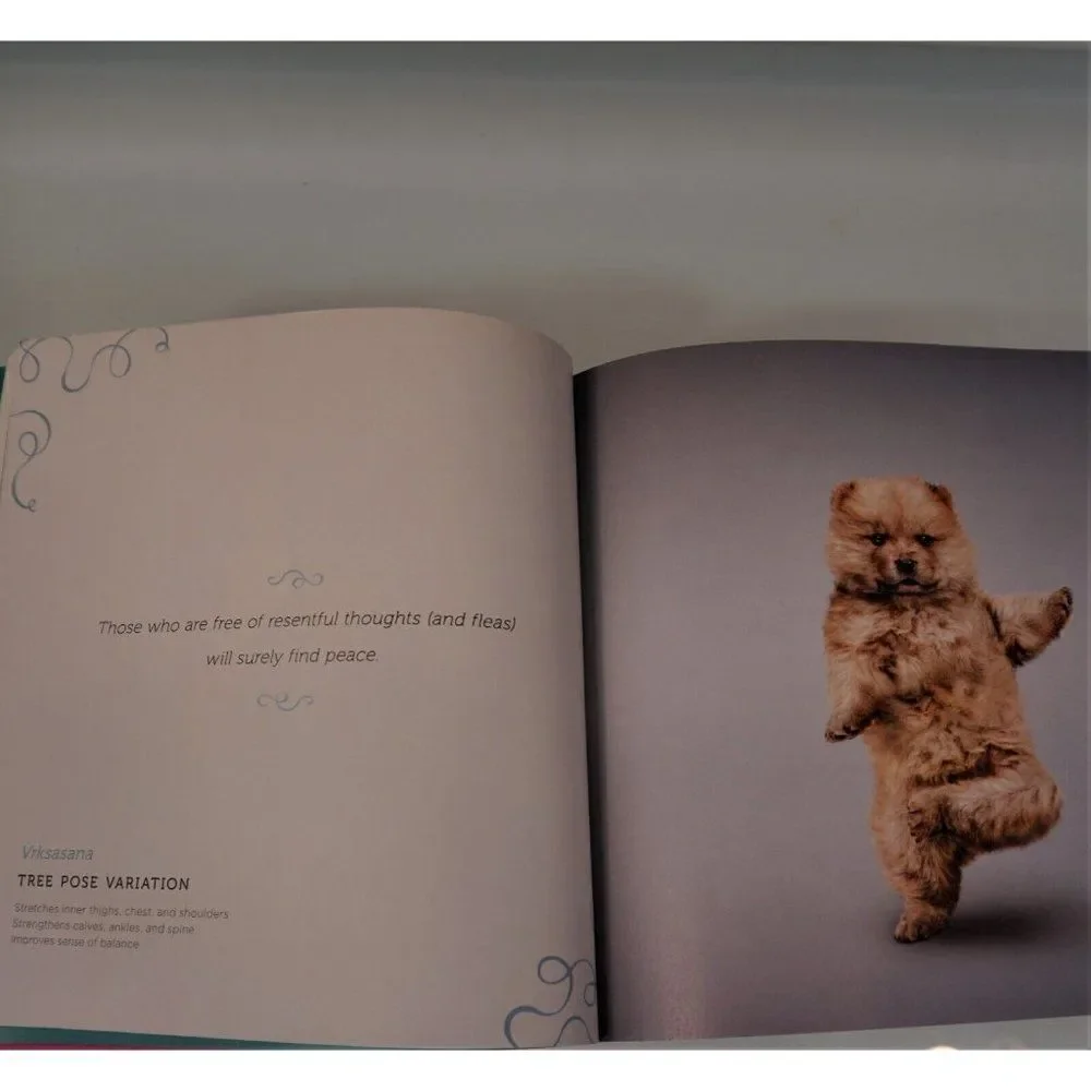 Abrams Books yoga dogs
