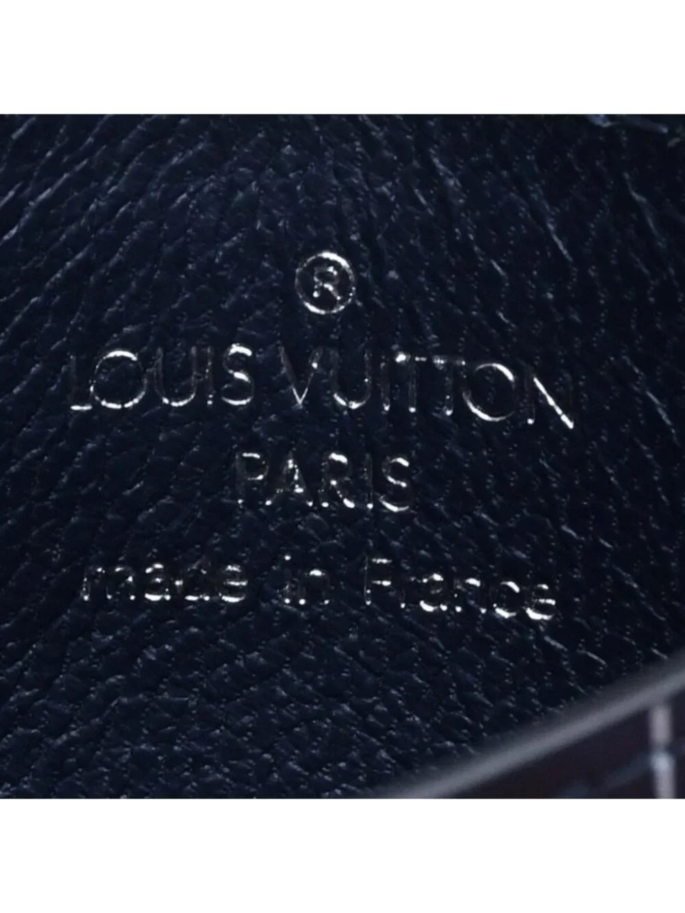 Louis Vuitton brand louis